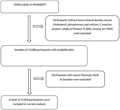 The associations between bone mineral density and long-term risks of cardiovascular disease, cancer, and all-cause mortality